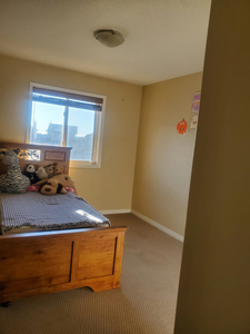 Rooms for rent in taradale