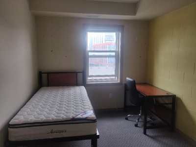 shared room in Waterloo for February 2024 for girl available.