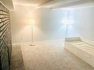Spacious Single Room in the basement