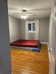 Upper level private room for rent