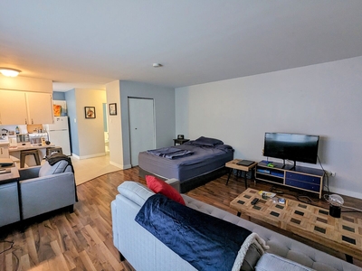 Calgary Apartment For Rent | Mission | A spacious and trendy studio