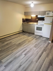 Calgary Apartment For Rent | Rosscarrock | Lower level Cozy One Bedroom