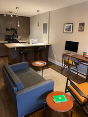 Downtown/Parliament Hill - Summer Sublet