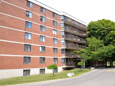 Kingston Pet Friendly Apartment For Rent | Queen Mary