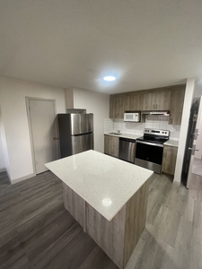 Calgary Apartment For Rent | Collingwood | Newly Renovated 2 Bedroom Apartment