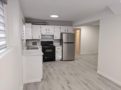 Calgary Basement For Rent | Capitol Hill | Newly renovated 3 Bedroom Lower