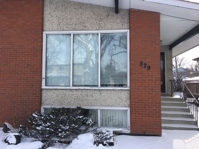 Calgary Pet Friendly Basement For Rent | Mount Pleasant | Recently Renovated Bright Basement In