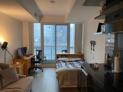 Furnished Downtown Toronto Studio - 1.5 Month Sublease