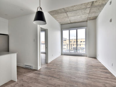 5 1/2 Condo Appartement neuf à louer/for rent-Plateau Mont-Royal