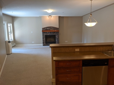 Calgary Pet Friendly Apartment For Rent | Discovery Ridge | Large and Luxurious, w fireplace