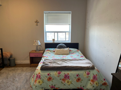 1/5 bd Female only in Waterloo Laurier Area Available May-Aug