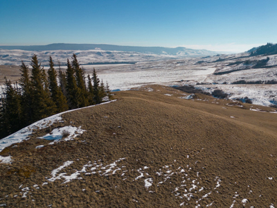 Land For Sale Cypress Hills, Alberta - CLHbid.com