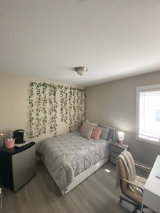 Looking for Summer sublet, Sandy Hill, Ottawa, ON