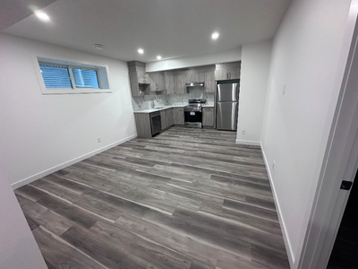 Newly developed basement for rent