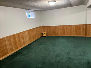Basement available for rent
