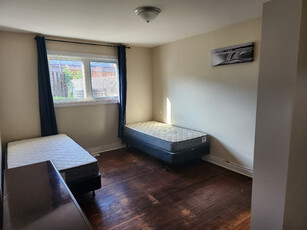 Brampton Furnished Sharing Basis Room for Rent - Female Only