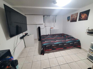 Private room for rent in shared basement apartment.