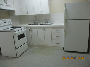 Renewed And Very Clean 1 Bedroom Apartment For Rent