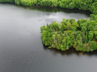 40915 square feet Land in Lac-Sainte-Marie, Quebec