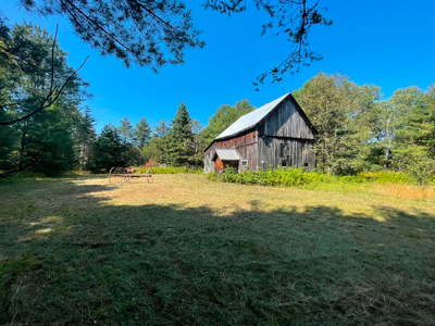 100 Acre, with over 1300' frontage on maintained road