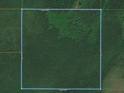 159 Acre Remote Property