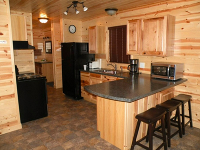 Tiny Home (Pine Cabin Style) in Bienfait, SK