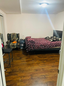 1 room in a 2 bedroom basement available (dixie/sandalwood)