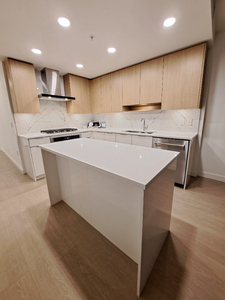 BRAND NEW - 2 Bed + Den, 2 Baths (South Burnaby)