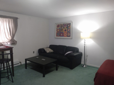 Large Bachelor for rent in Downtown Kitchener