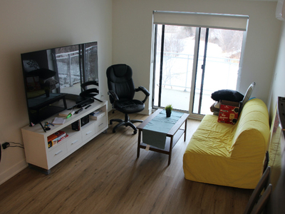 Lease transfer of cozy apartment in Aylmer / Gatineau