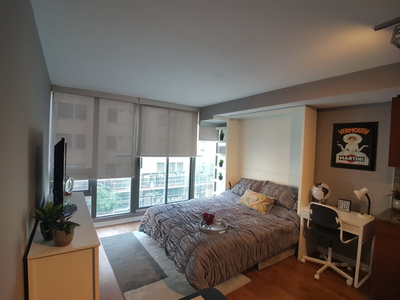 Luxury FURNISHED Studio in the Core of Downtown Toronto