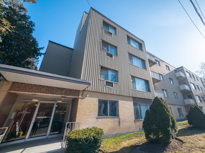 Newly Upgraded 1 Bedroom Apartment in downtown Guelph