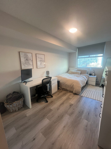 Private Room in 2 bed 1 bath Apt - Sublet May-August