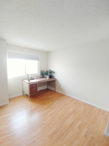 Room for Female - Large and sunny room, walk to shops and LRT