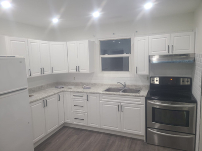 Top Unit Newly Renovated 3 Bedroom 1 Bath Triplex for rent