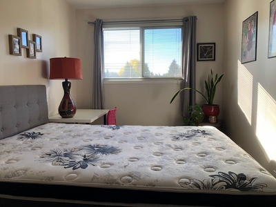 Very clean, cozy fully furnished bedroom $539, available Feb 26
