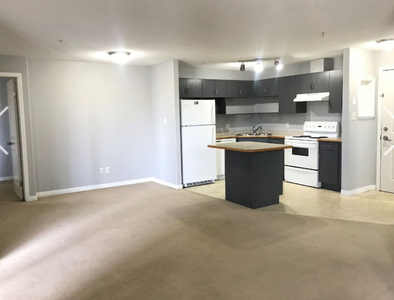 1 bedroom condo with den plus 2 full baths for rent