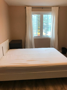 Room for rent near Algonquin