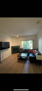 Shared 1 bedroom/washroom in DT condo