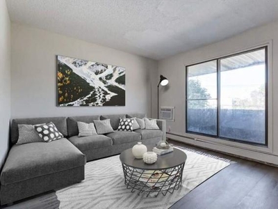 1 Bedroom Apartment Unit Saskatoon SK For Rent At 955