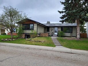 Calgary Basement For Rent | Braeside | Newly renovated one bedroom basement
