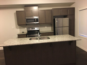 Townhouse - 3 Bedroom ~ Downtown Kitchener - Available June 30th