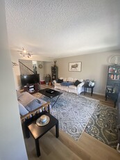 Calgary Room For Rent For Rent | Arbour Lake | Newly Renovated Room For Rent