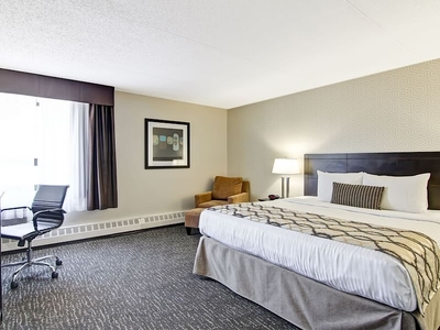 Edmonton Apartment For Rent | Oliver | Short Term Hotel Units for