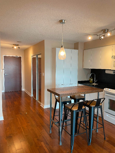 1 bedroom downtown condo available January 1st