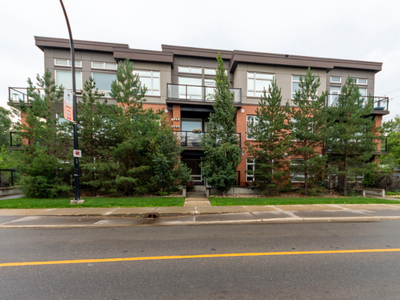 Beautifully designed condo in Strathcona | Schmidt Realty Group