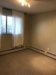 Calgary Apartment For Rent | Bankview | Bankview Nice 1 Bedroom Apartment