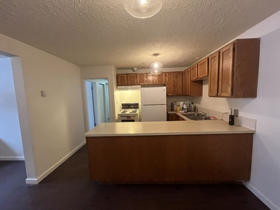 Calgary Pet Friendly Basement For Rent | Glenbrook | Conveniently located 2 bedroom basement