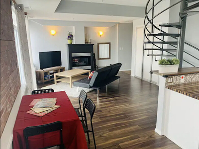 Edmonton Condo Unit For Rent | Garneau | 2 Floor Garneau Penthouse