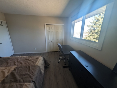 Red Deer Room For Rent For Rent | South Hill | PENDING: Clean and quiet beside